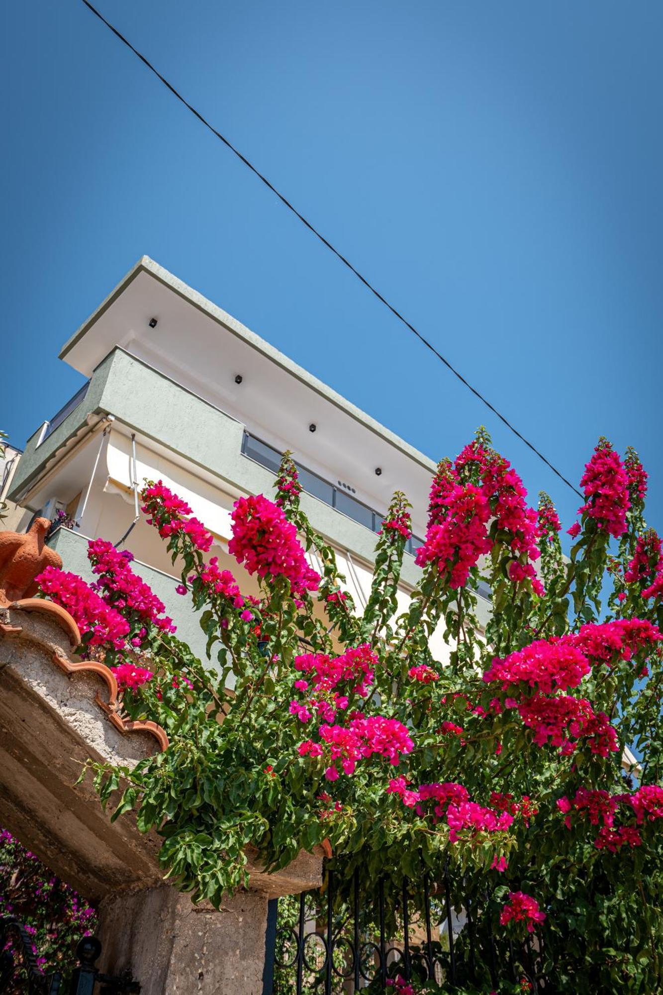 Euphoria Apartments Sarandë 외부 사진